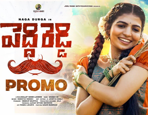 యూట్యూబ్‌ను షేక్ చేస్తున్న ''పేరుగ‌ల్ల‌ పెద్దిరెడ్డి'' సాంగ్