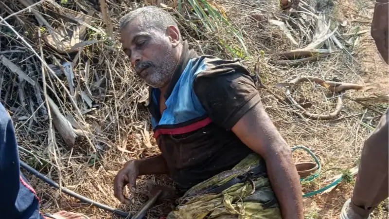 తాటి చెట్టు పైనుంచి పడి గీత కార్మికుడికి గాయాలు