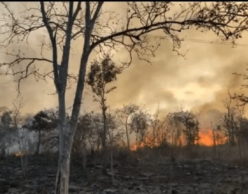 నల్లమలలో కార్చిచ్చు.. అదుపులోకి రాని మంటలు