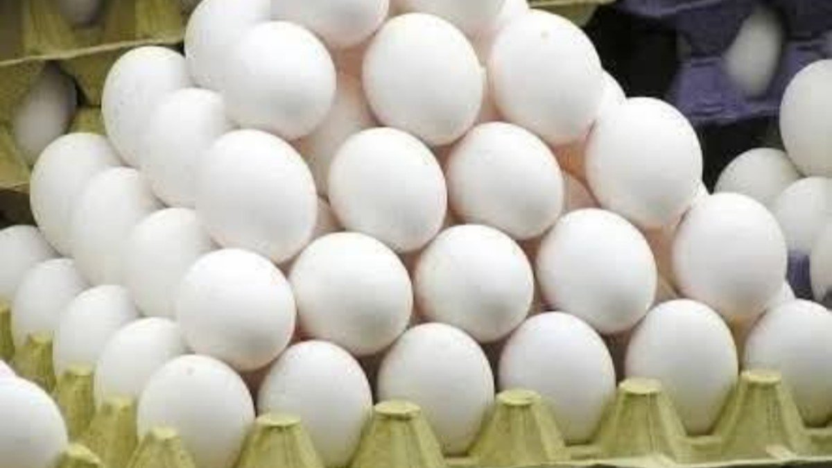 సగానికి పైగా తగ్గిన కోడి గుడ్ల ధరలు