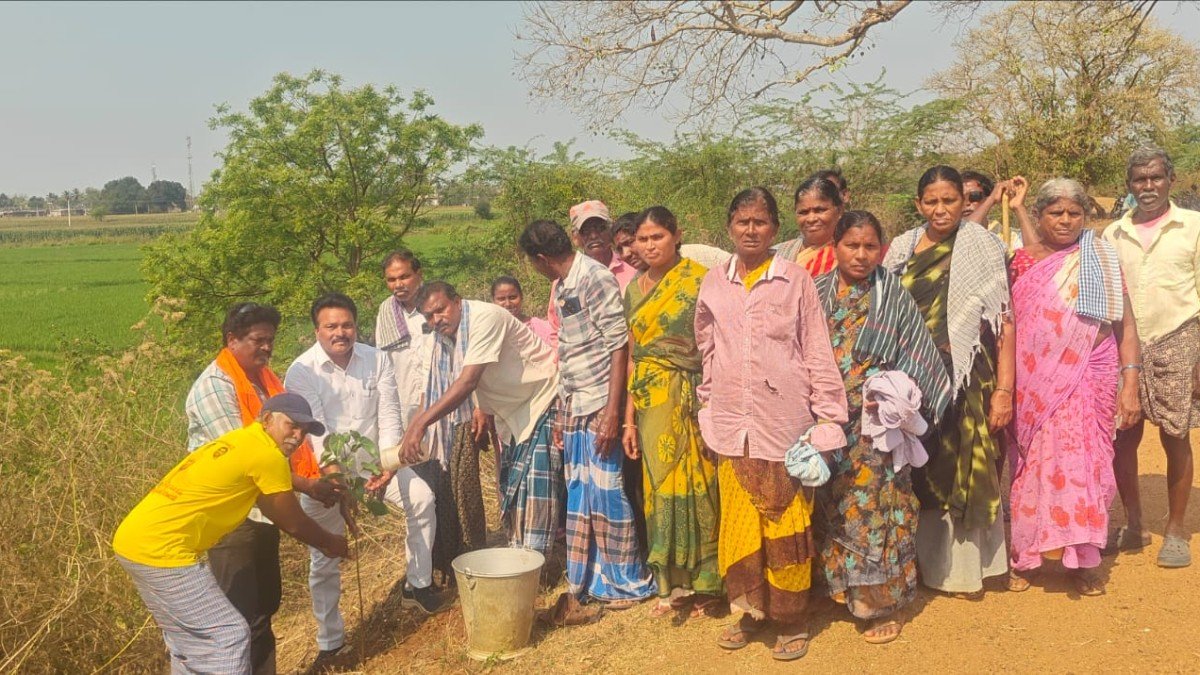 వాతావరణ సమతుల్యానికి చెట్ల పెంపకం అవసరం చనుబండ పీఏసీఎస్ ఛైర్మన్ మోరంపూడి శ్రీనివాసరావు