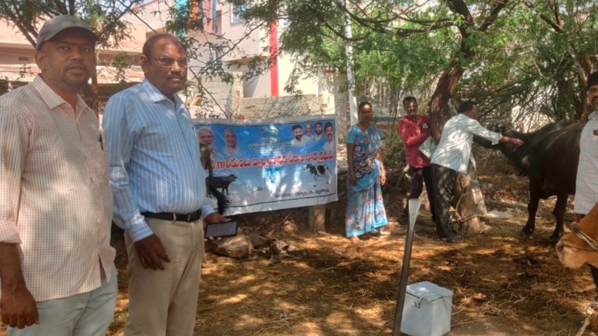 చిట్యాలలో గాలికుంటు టీకా శిబిరం ఆకస్మిక తనిఖీ