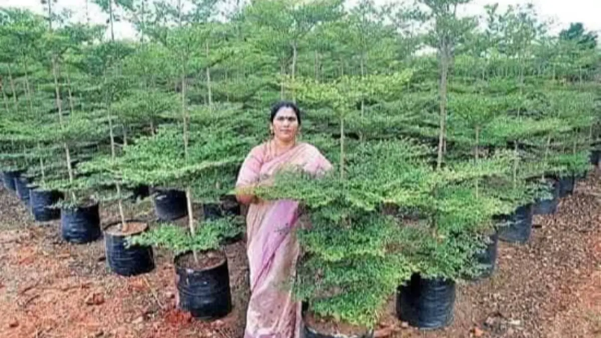 “ఒక చెట్టుగింజ నుంచి కోట్లు కురుస్తున్న బిక్కవోలు మహిళ సత్య విజయగాథ”