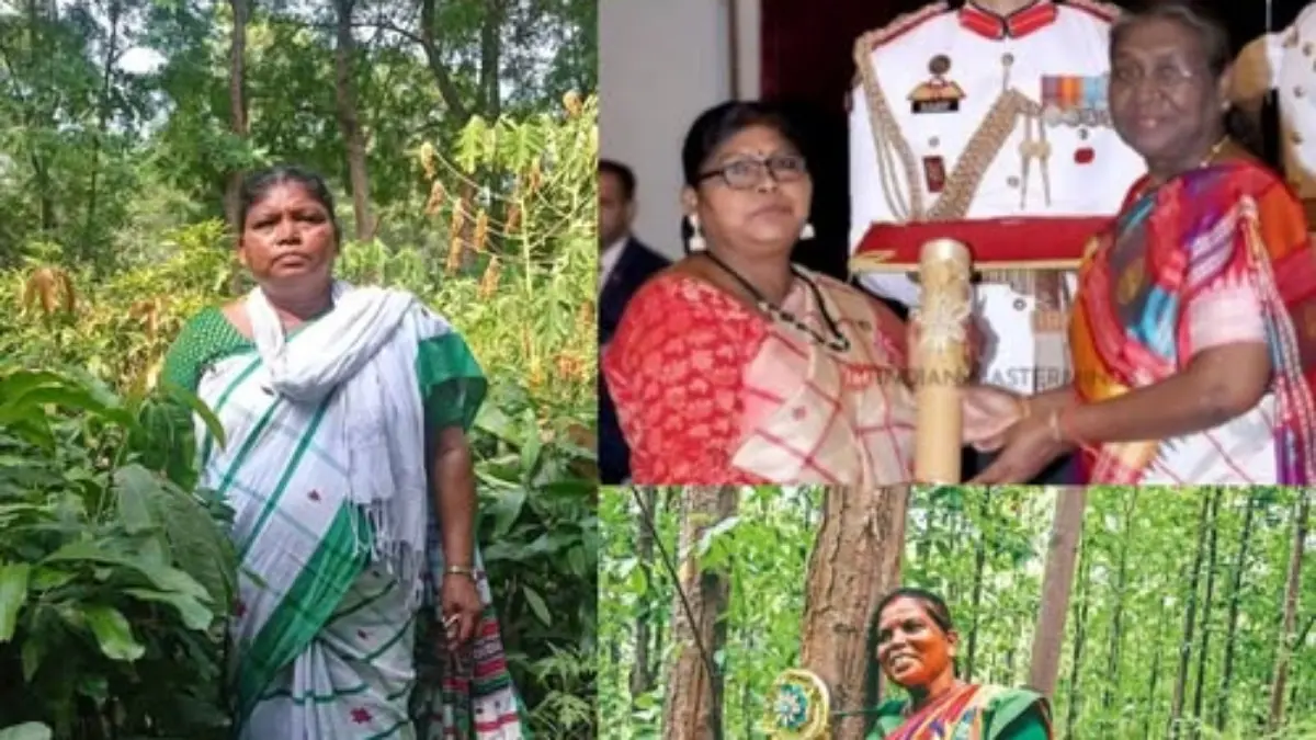 “అడవిని కాపాడే ‘అమ్మ’: జార్ఖండ్ ‘లేడీ టార్జాన్’ చామీ ముర్ము 30 లక్షల చెట్ల గాథ”