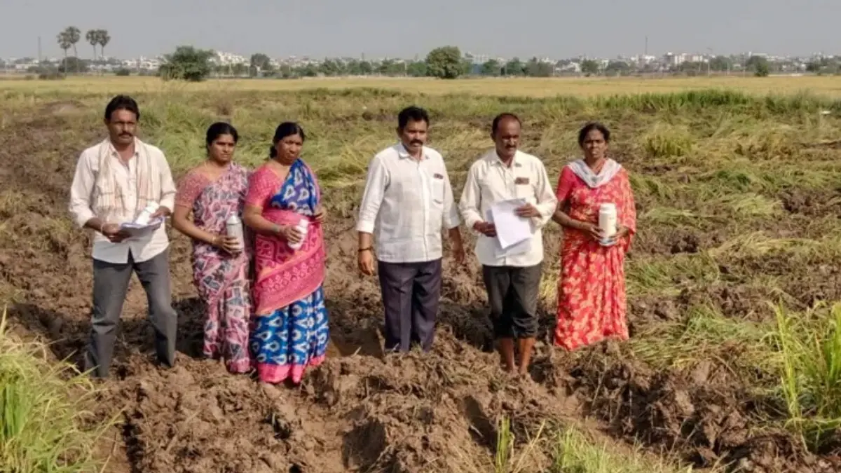 పురుగుమందు డబ్బాలతో రైతుల ఆందోళన