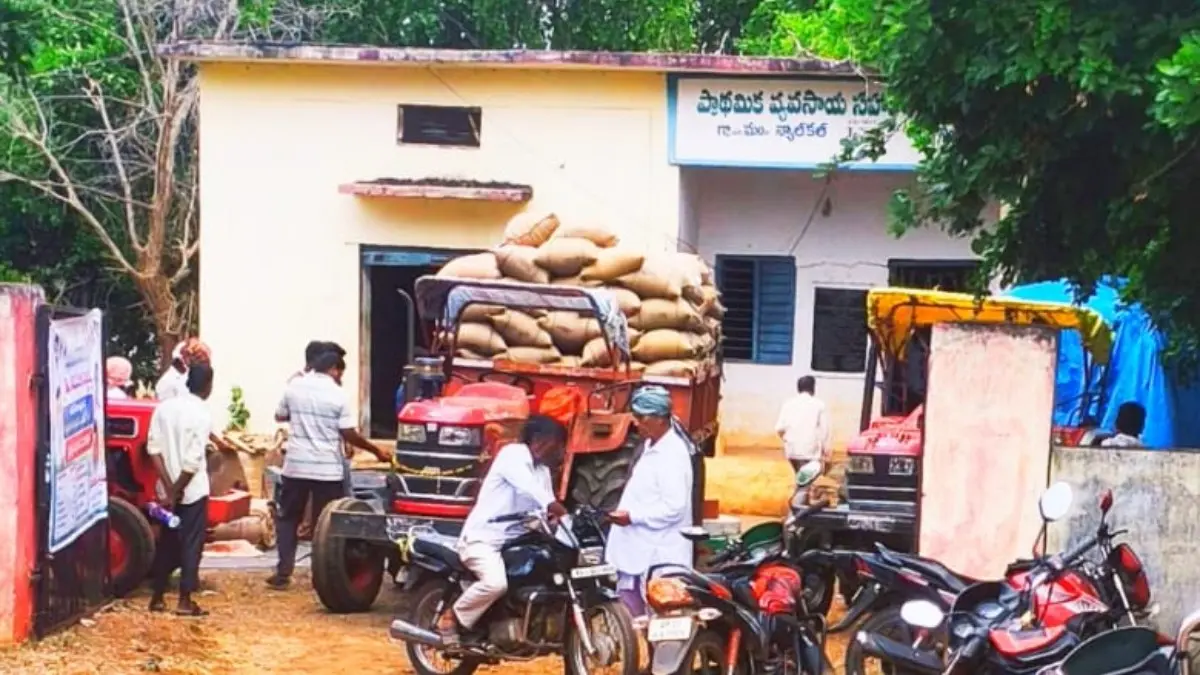 న్యాల్కల్ మండలంలో జొన్నల కొనుగోళ్లు జోరు.. కేంద్రాలకు పోటెత్తుతున్న రైతులు